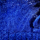 Illustration for article titled Tokyo Xmas Light Shows Overload Senses, Power Grid